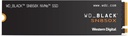 WDS100T2X0E